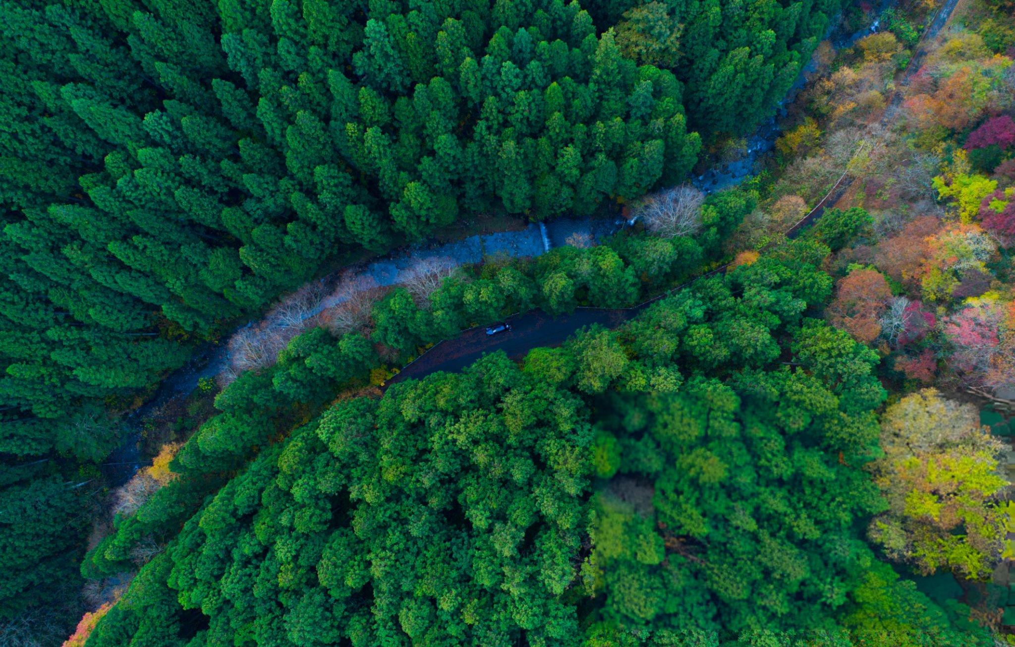 GRI Standards Training Overview